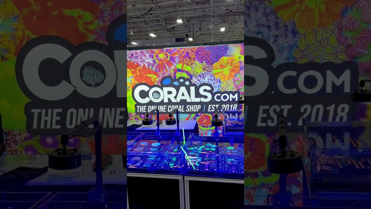 We’re all ready to go at Reefapalooza New York! Hope to see you there!🪸🔥 Booth 623! #aquarium