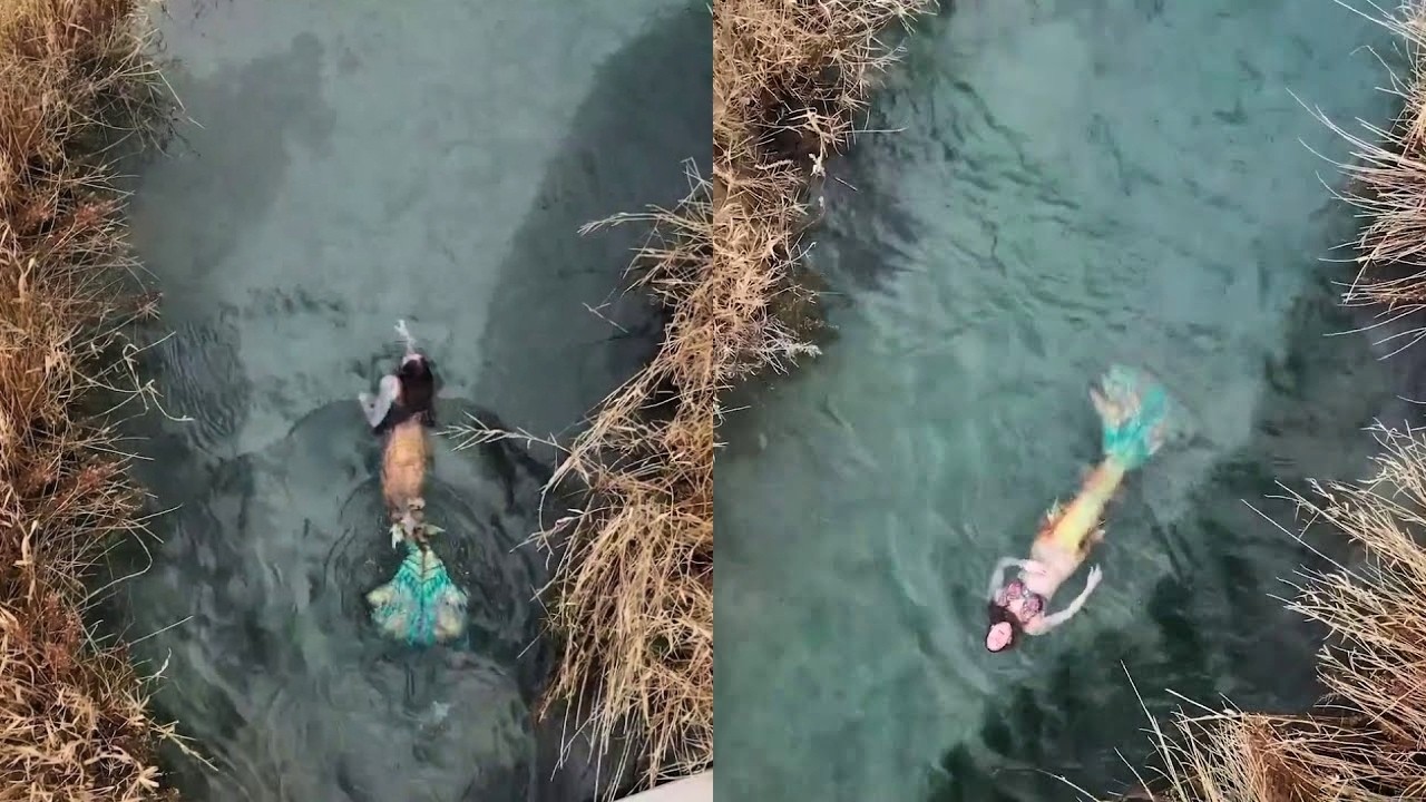 Mermaid Sightings Captured in South America 🌊