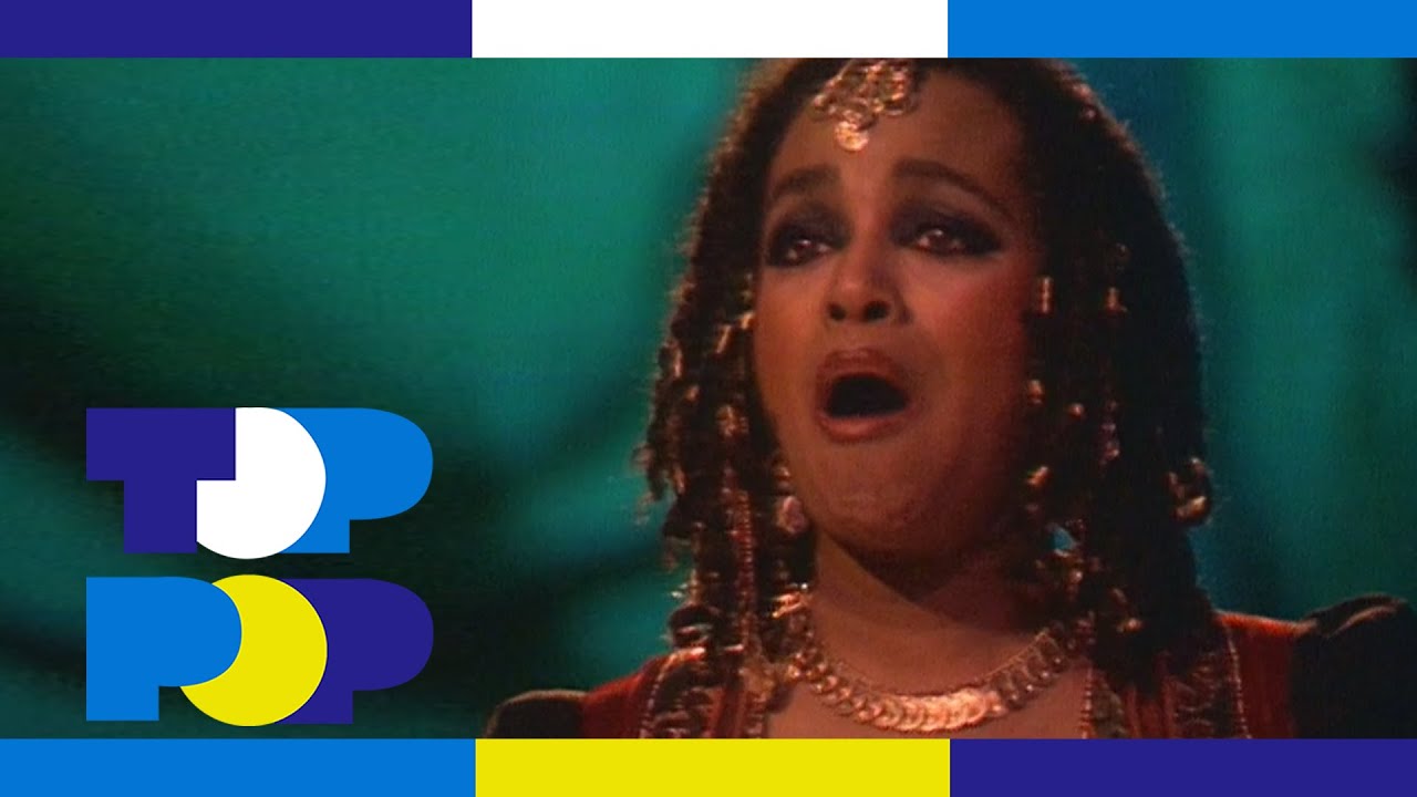 Odyssey - Native New Yorker (1977) | TopPop Performance