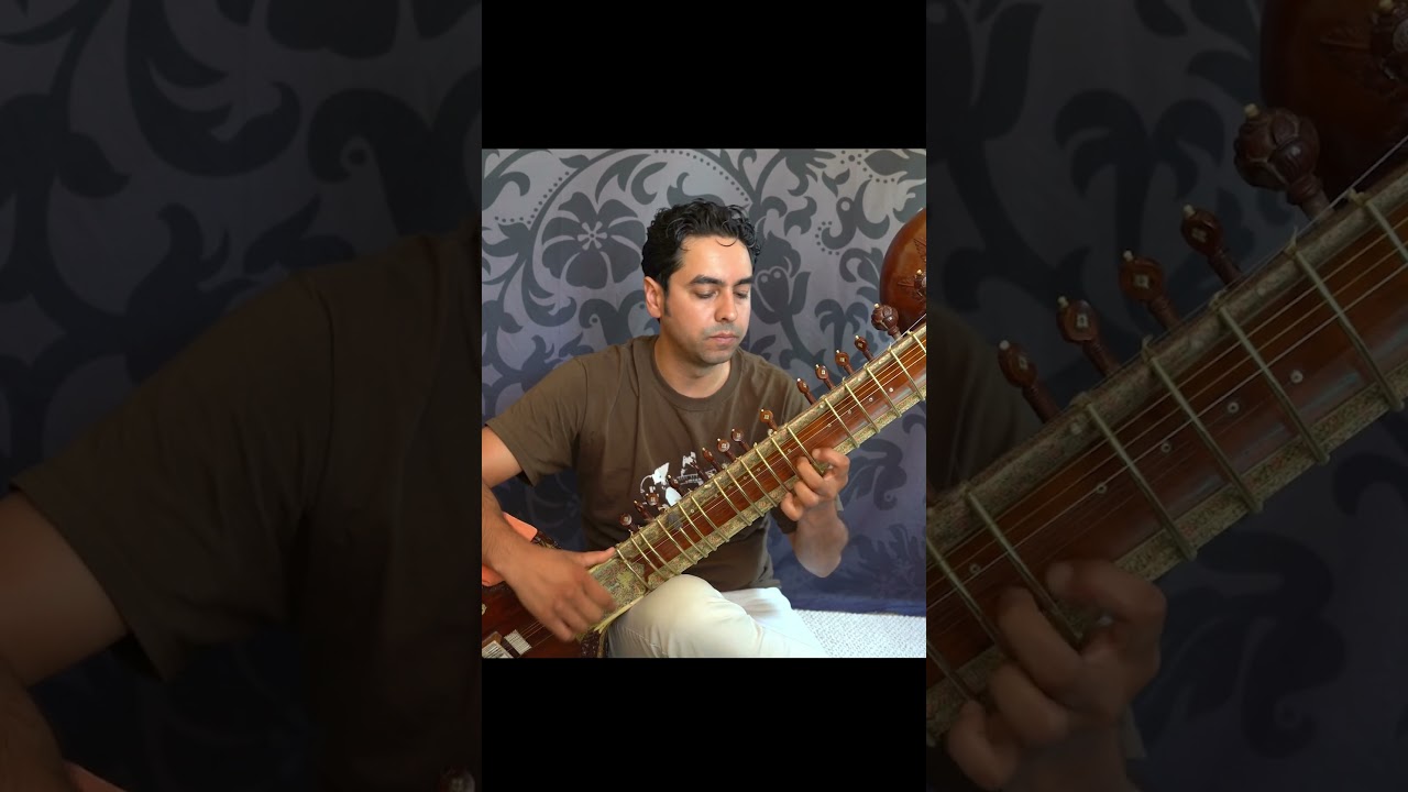Sitar Conversations Part 6: How to Pluck the Sitar 🎶