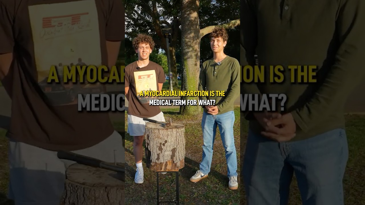 College Students vs. Hammer π οΈ