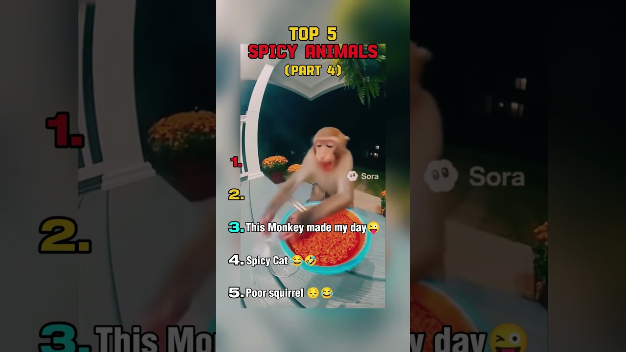 Part 4 Top 5 spicy eating animals sora 2 videos #sora #funny #ranking #animals