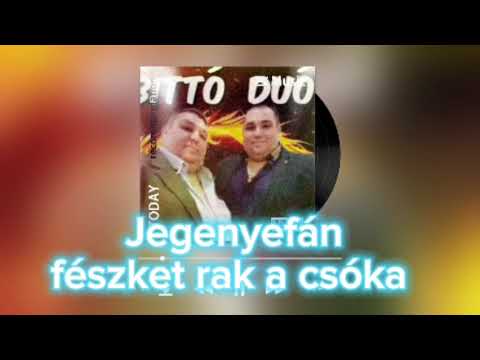 Bittó Duó - Jegenyefán fészket rak a csóka