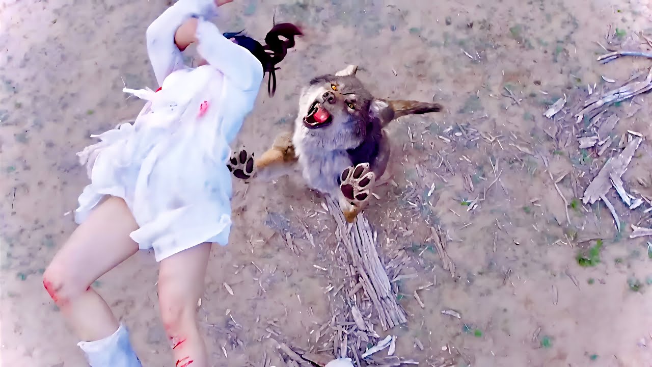 مجموعه من ‏الذئاب بيهجمو علي بنت فقيره وبيتم اجبارها انها تحاربهم علشان تعيش وتنقذ اختها ملخص مسلسل