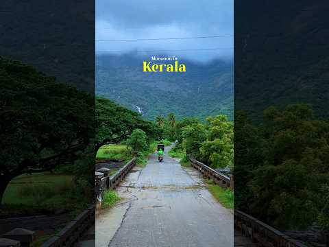 Monsoon Days in kerala #shortsvideo #travel