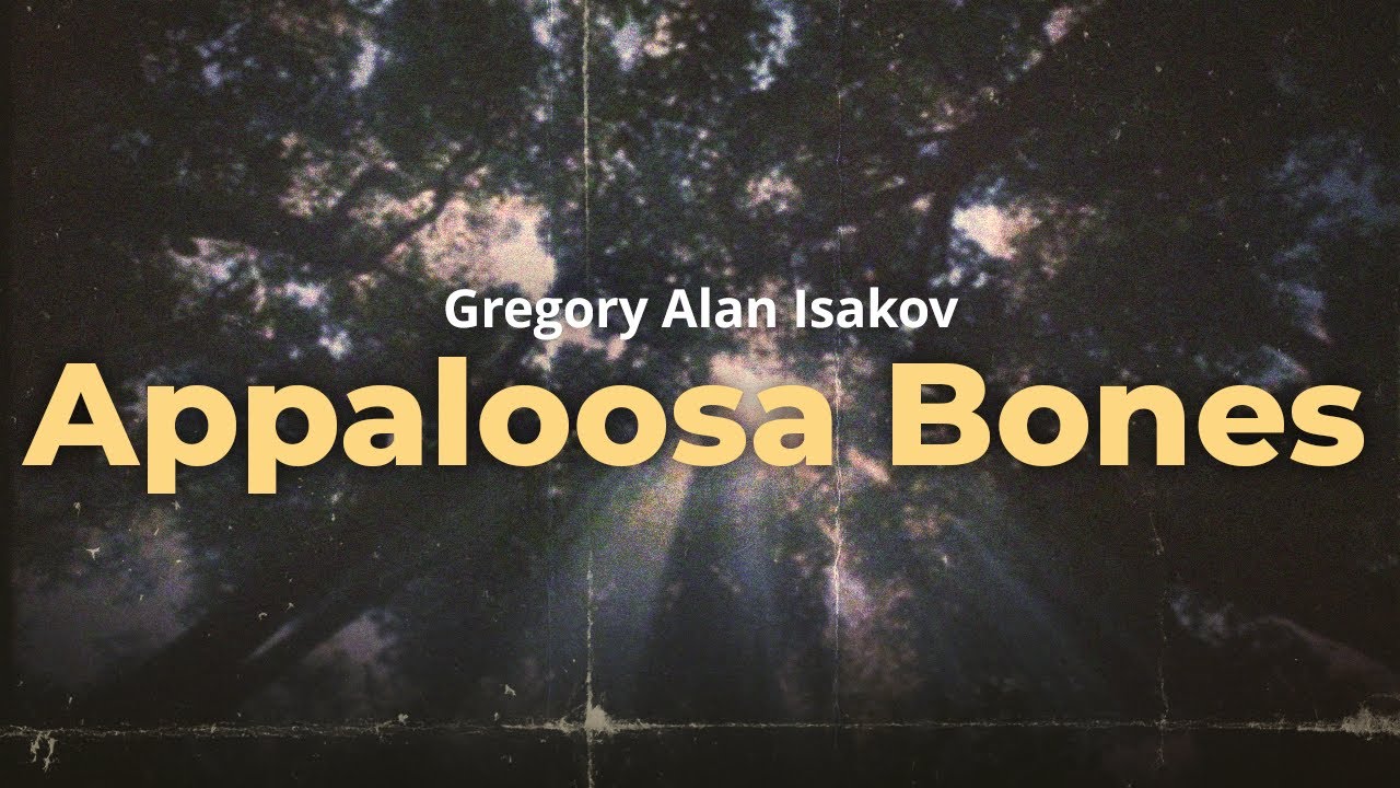Gregory Alan Isakov - Appaloosa Bones Lyrics 🎶