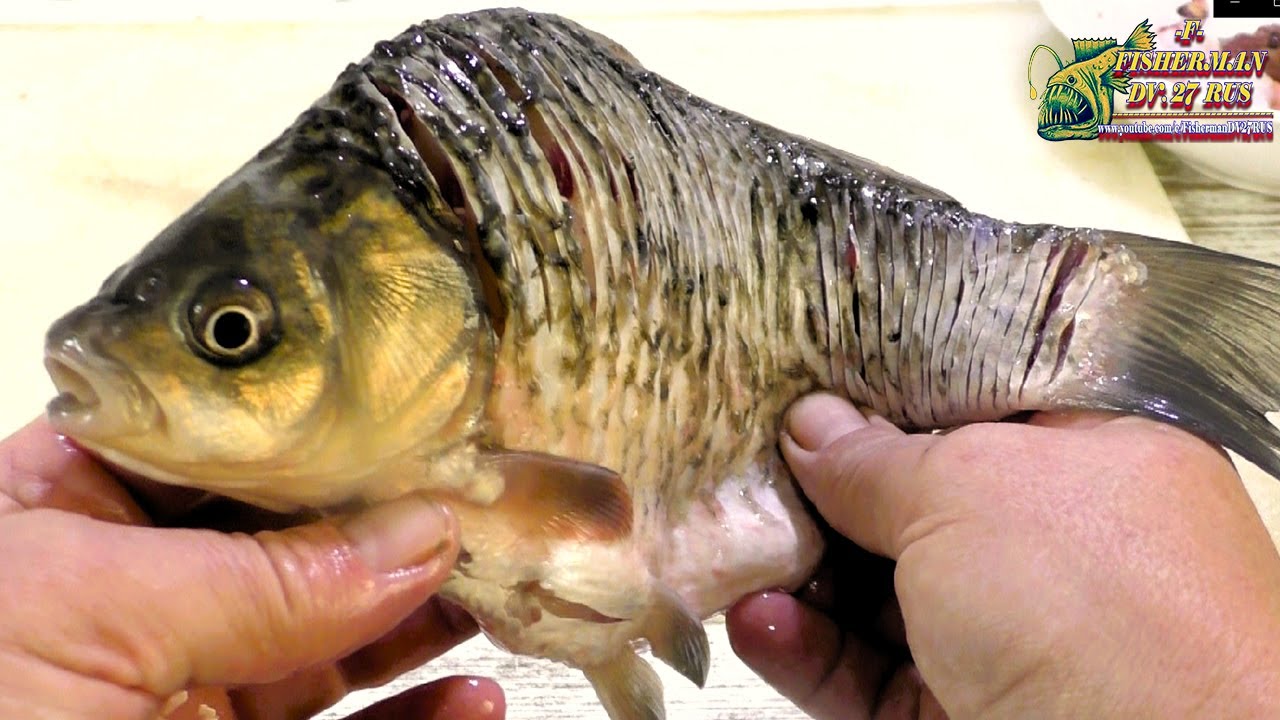 Мастер-класс: разделка карася и удаление косточек 🐟