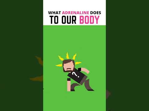 What Does Adrenaline Do To Your Body? #shorts #education