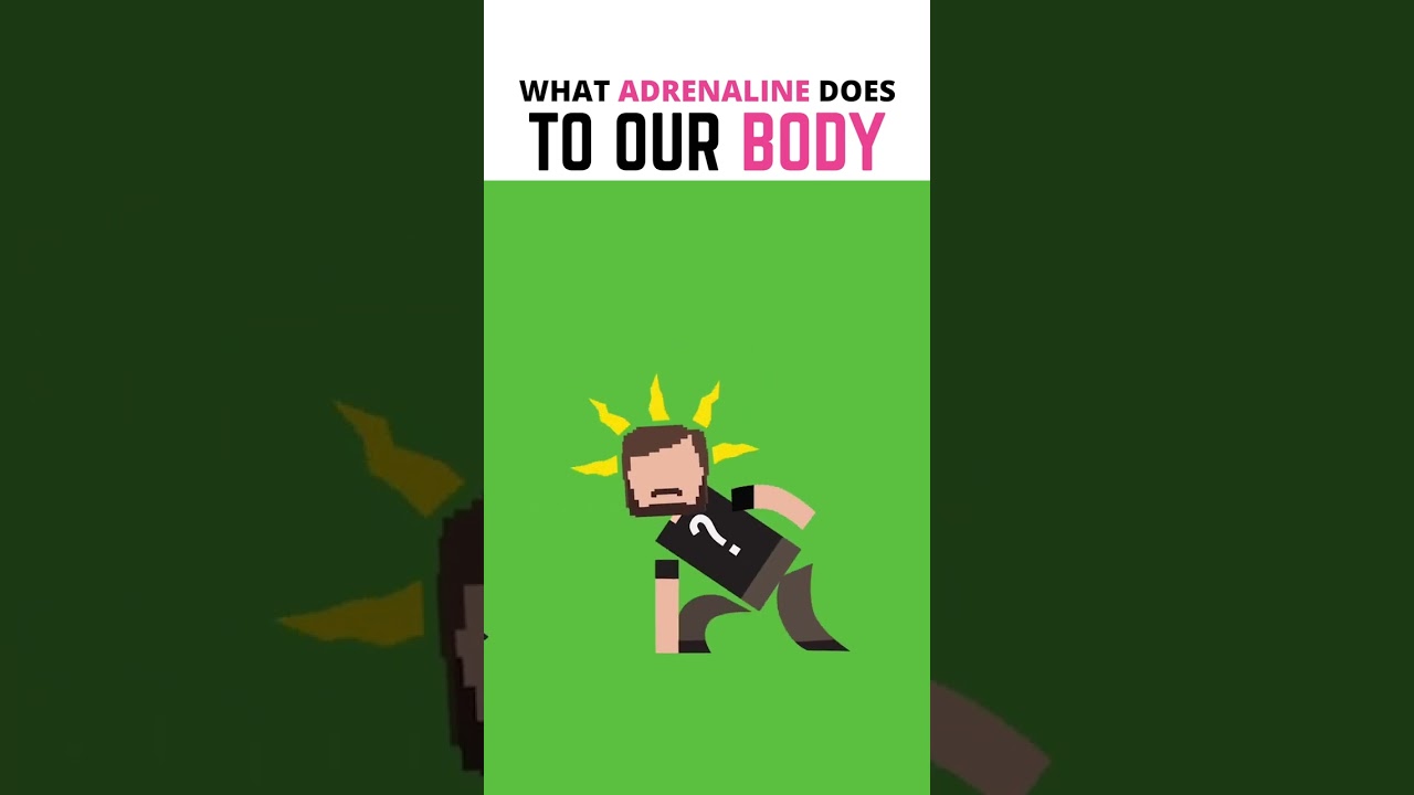 Adrenaline Effects on Your Body ⚡
