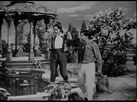 Kavignar Vaali Super Hit Songs | Server Sundaram | Avalukenna Song