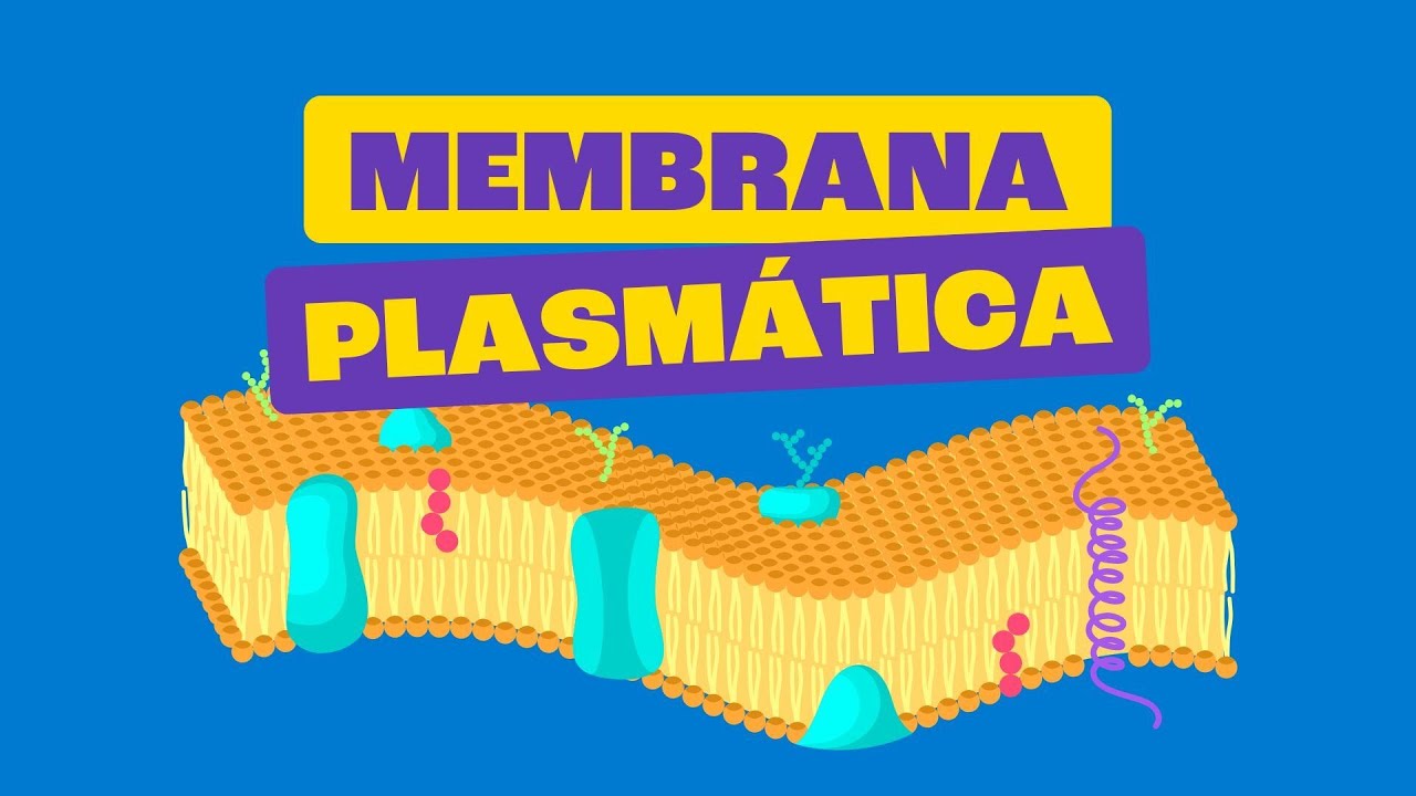 Membrana Plasmática: Estrutura e Funções 🧬