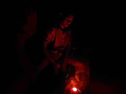 মধু কই বিষ খাওয়াইলা? 🐝