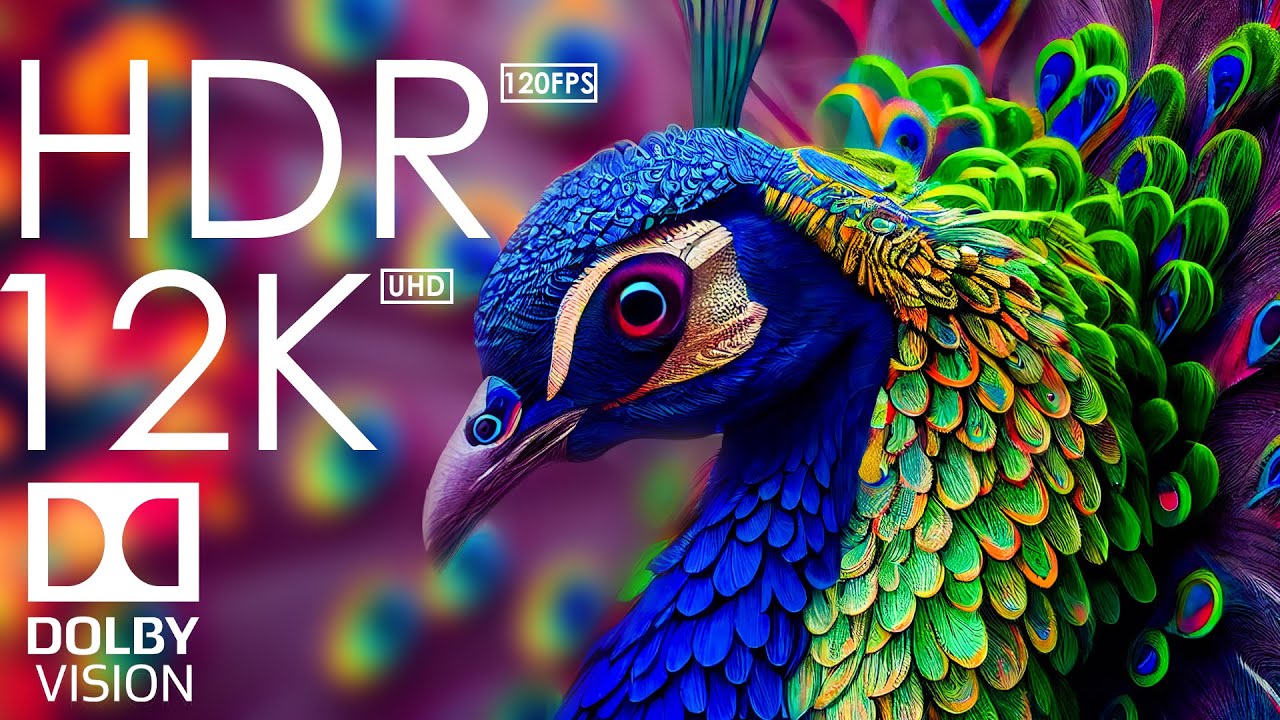 12K HDR 120fps Dolby Vision with Calming Music - Animal Colorful Life