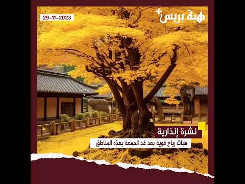 نشرة إنذارية: هبات رياح قوية بعد غد الجمعة بهذه المناطق