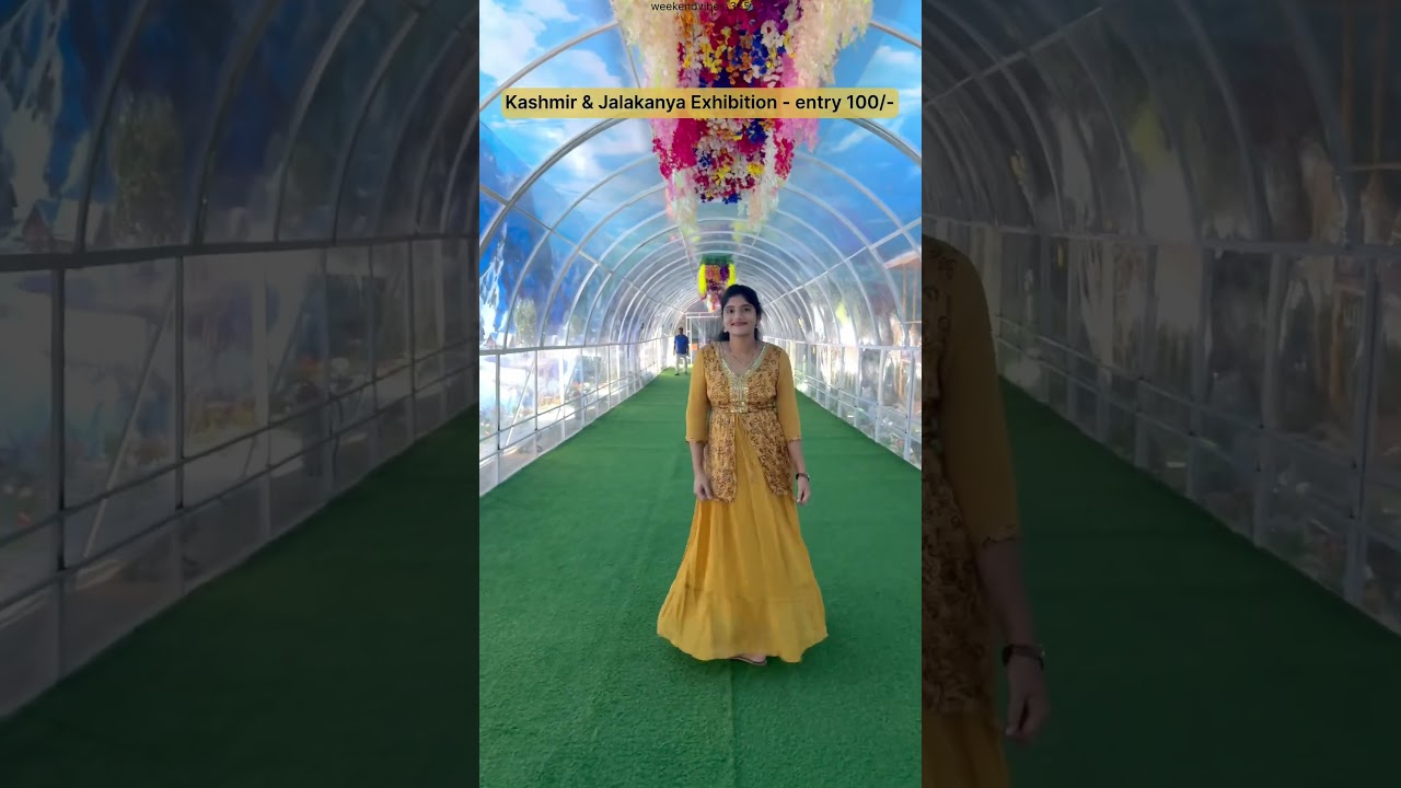 Kashmir & Jalakanya🧜‍♀️ Exhibition in Vizag