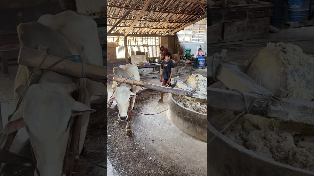 Discover How Authentic Indonesian Noodles Are Made at a Traditional Factory 🍜