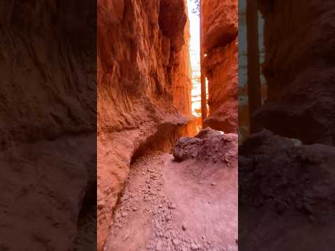 Bryce Canyon National Park | Navajo Loop #hiking #utah #adventure