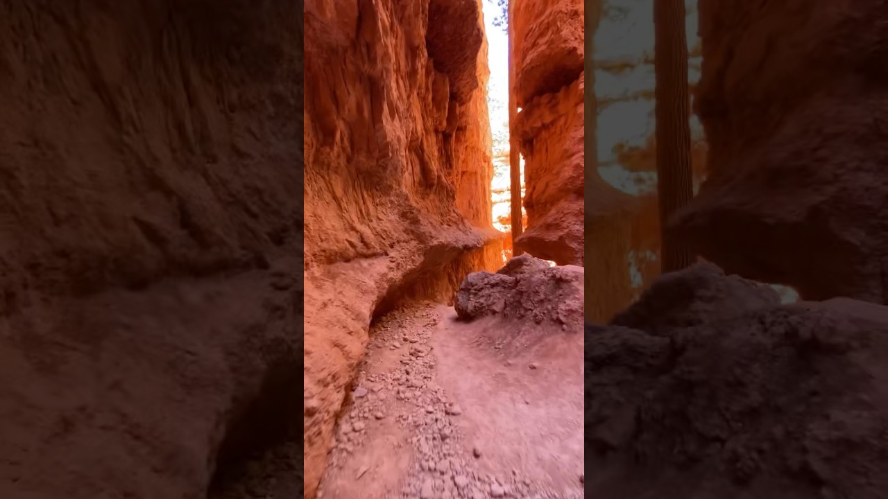 Bryce Canyon National Park - Navajo Loop Hiking Adventure