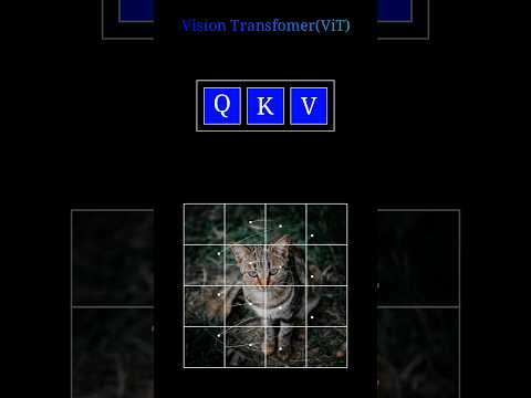 Vision transformers #machinelearning #datascience #computervision
