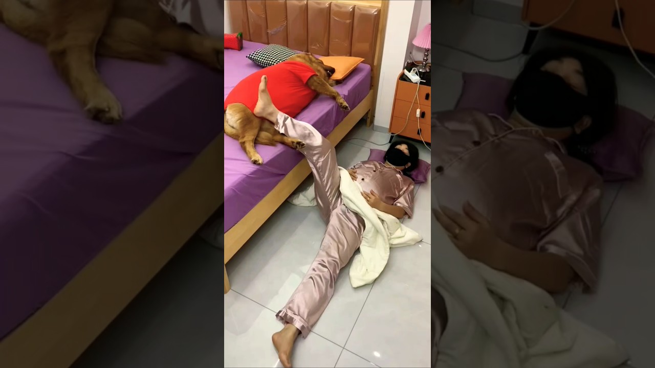 😊 Heartwarming Moments That Will Make You Smile! | Feel-Good Vibes