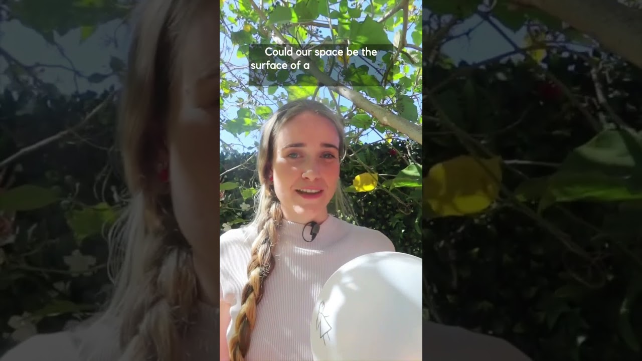 Hyperpringle: 4D Book Available at Tibees.com π