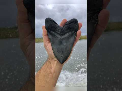 Rare Photos You've Never Seen Before [Part 214]