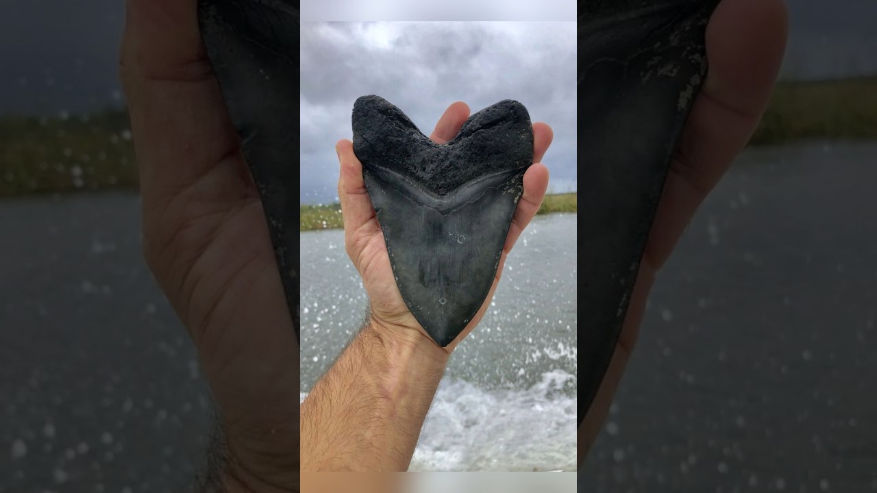 Exclusive Rare Photos You’ve Never Seen Before 📸 [Part 214]