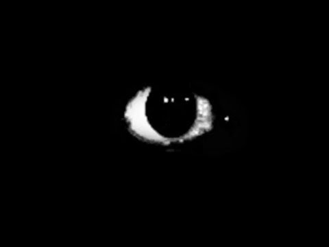 thorns but senpai (spirit) got power from bob and stareclown