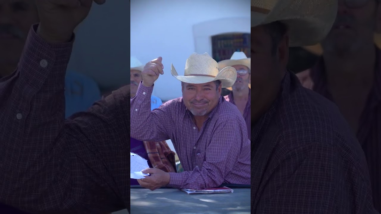 La canción prohibida de WF 🎶