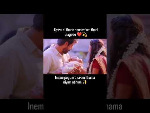 Sivakarthikeyan's Romantic Scene ✨🥰