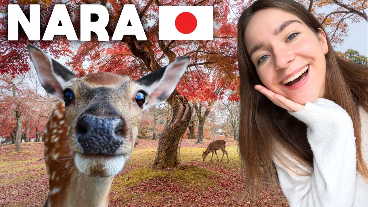 Discover Nara, Japan: A Must-Visit Destination π―π΅