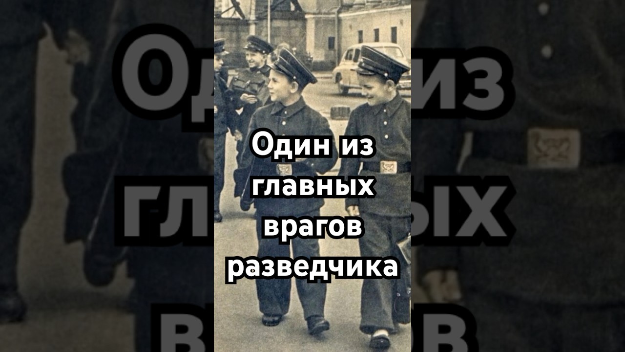 Главный враг разведчика 🕵️‍♂️