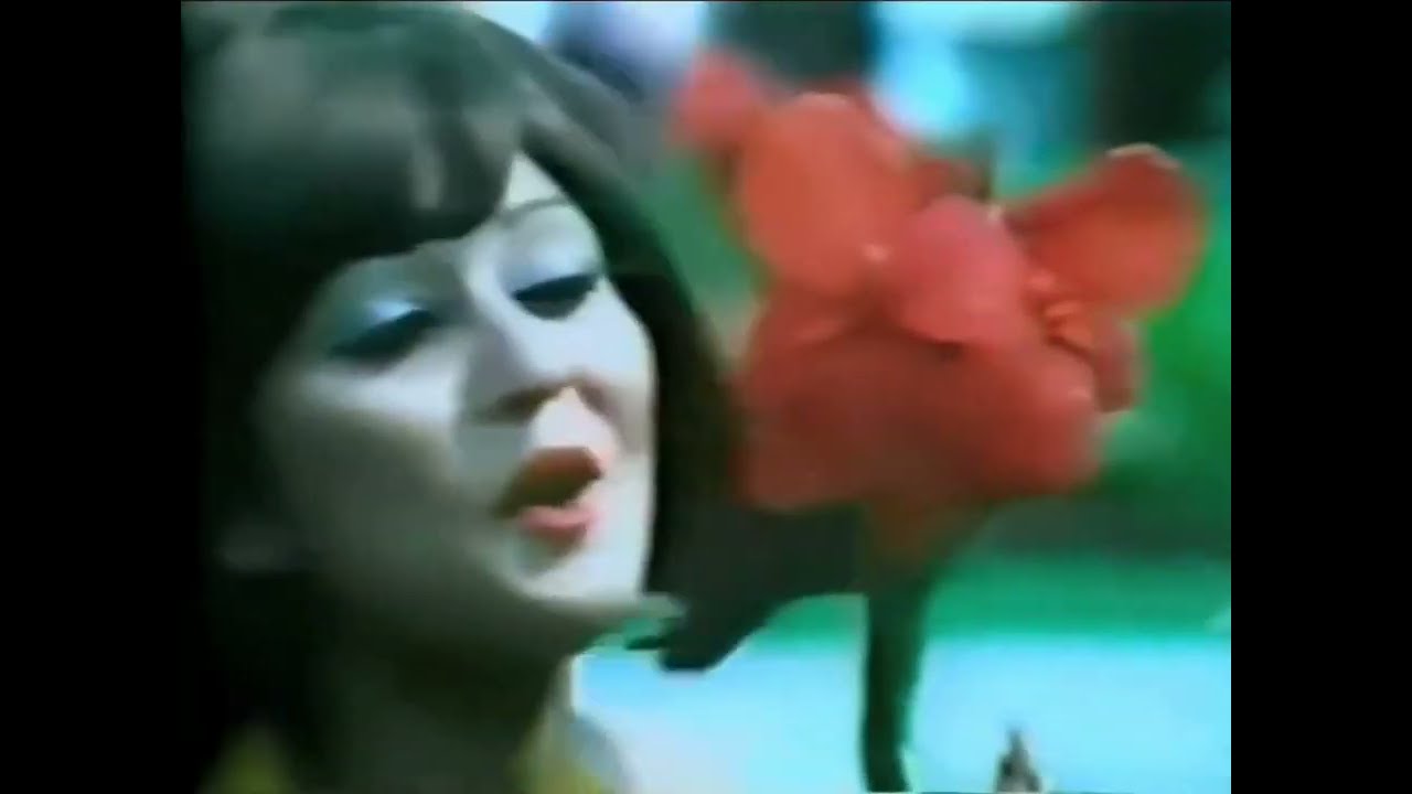 Suno Baharo Suno Nazaro - Remastered Vinyl Rip 🎶