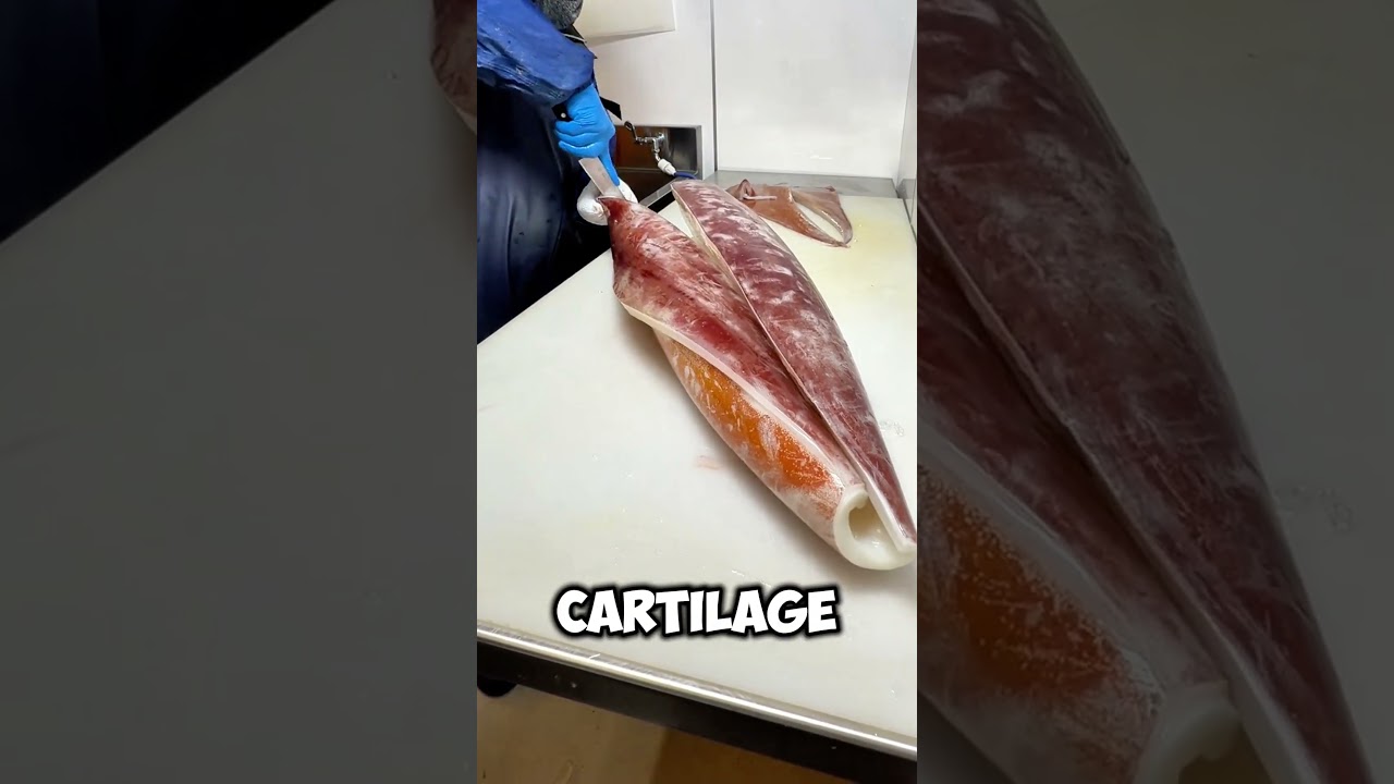 Worker Handles a Giant Squid π±