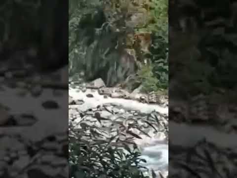 Chanchal hawaon se khushboo #shorts #entertainment #naturephotography #ytshortsindia #lovestatus #yt