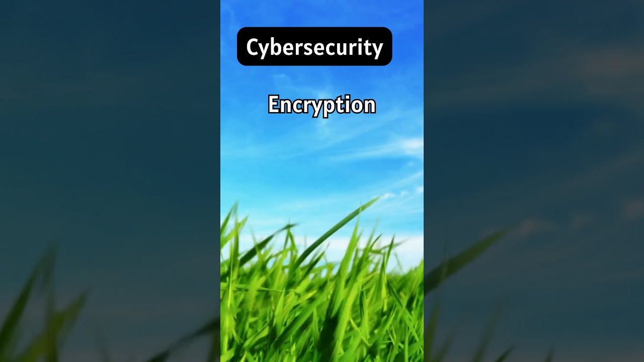 Encryption Explained: The Key to Cybersecurity 🔐