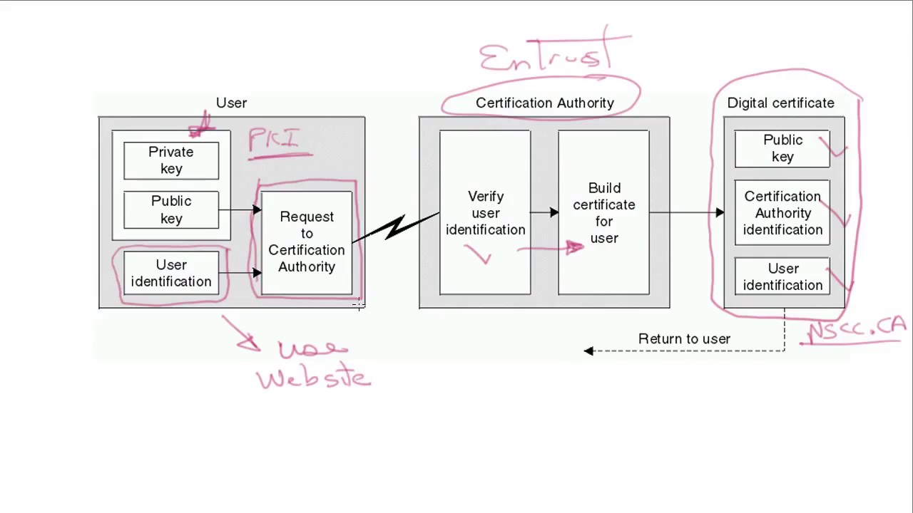 Digital Certificates Explained: Secure Your Data with SSL & PKI 🔐