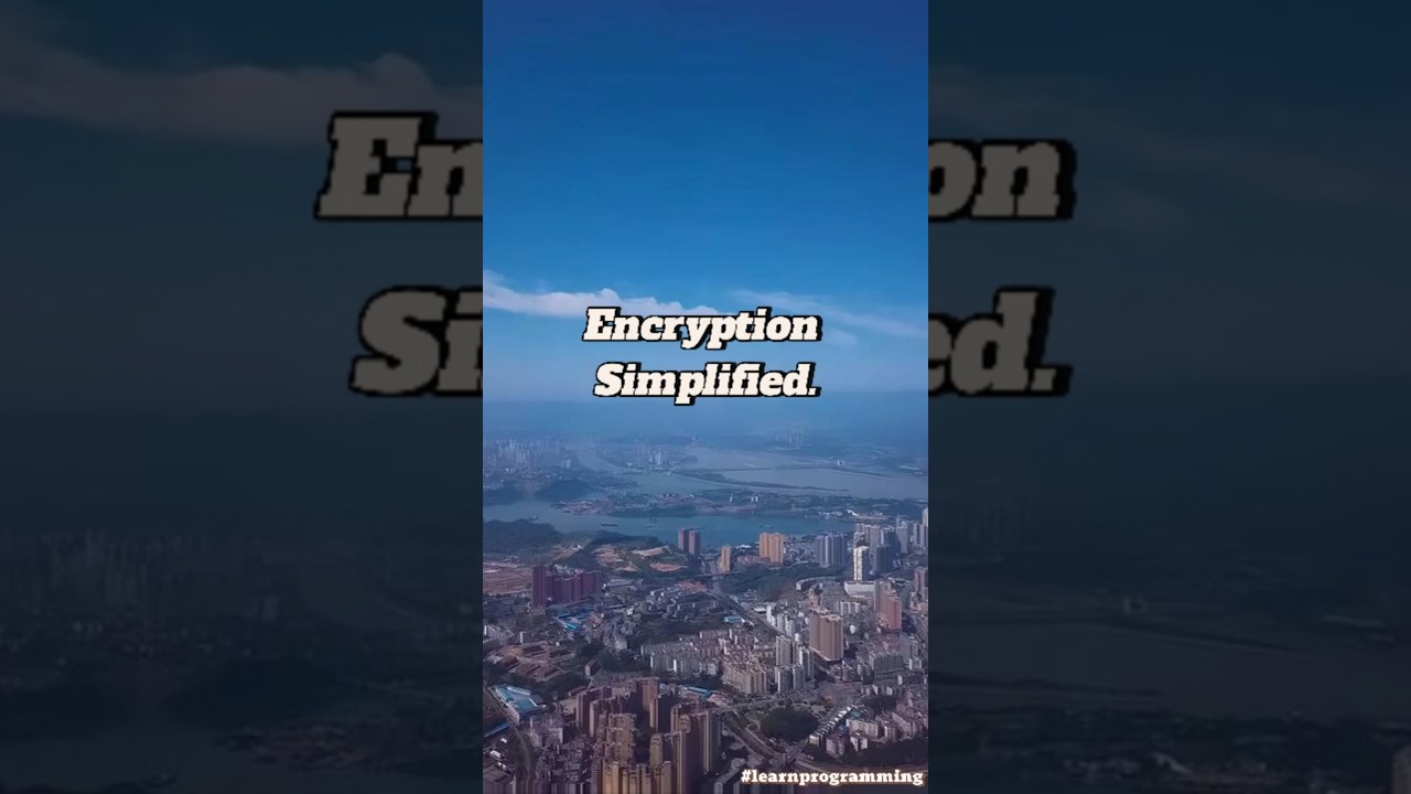 Encryption Explained for Beginners 🔐 | Protect Your Data Easily
