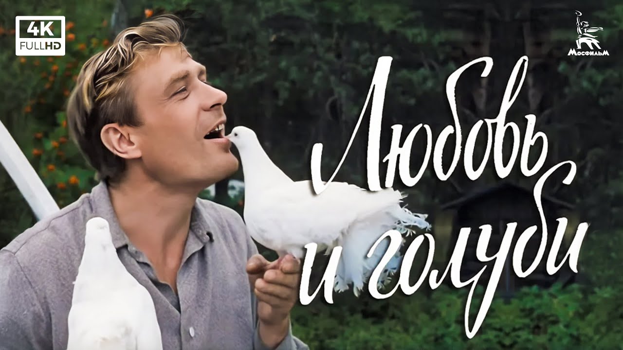 Любовь и голуби (1984) — комедия Владимир Меньшов