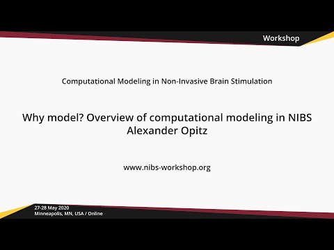 Overview of computational modeling in NIBS. Why Model? // NIBS Workshop 2020