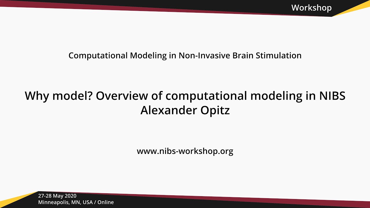 Unlocking Brain Insights: The Power of Computational Modeling in NIBS 🧠