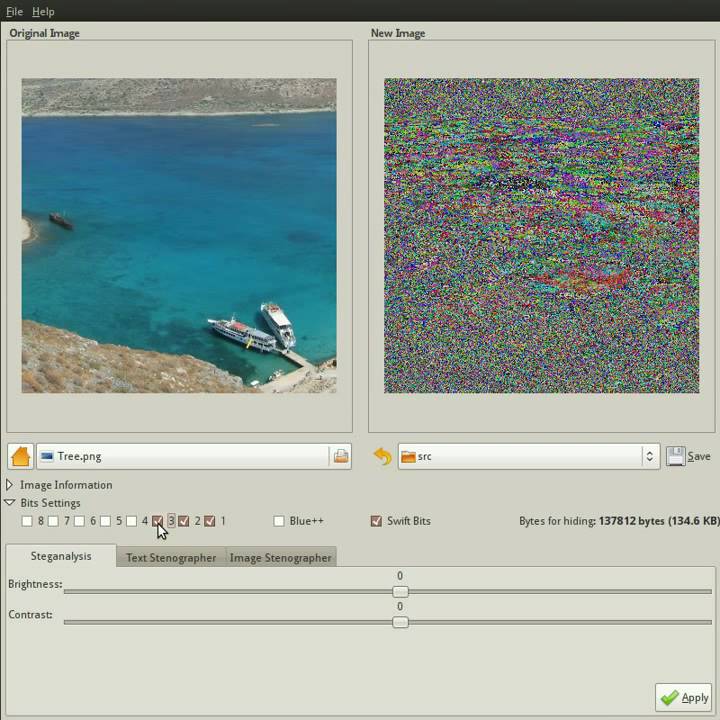 Steganographer V0.2: Advanced Steganalysis & Image-to-Image Hiding π