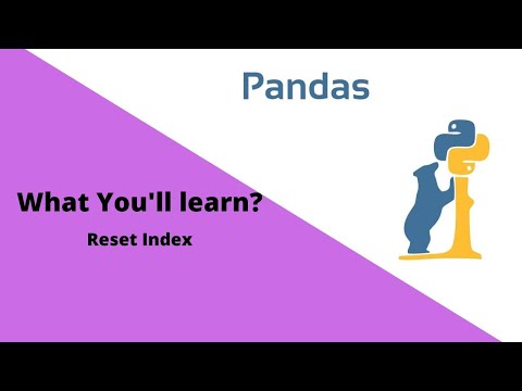 Reset Index | Pandas Tutorial 23.0
