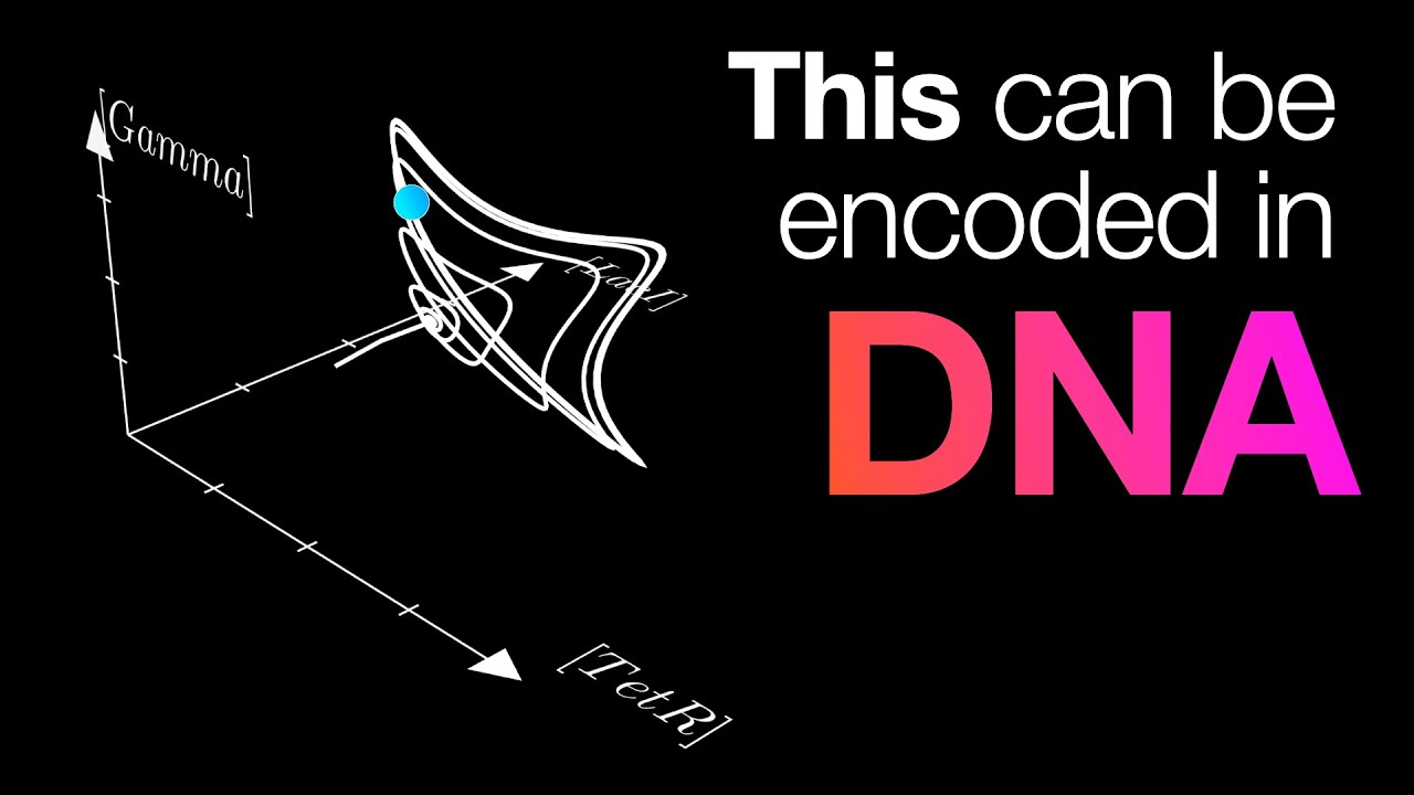 Uncovering the Hidden Link Between Math and Biology 🔬