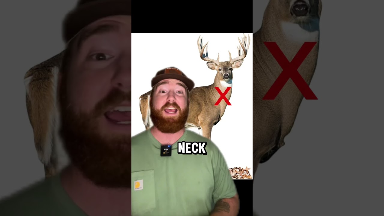 Top 4 Best Deer Hunting Spots 🎯