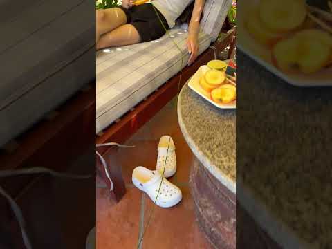 LNS - Cuộc gọi bộ đàm cốc giấy || Paper cup walkie talkie - Cover funny #shorts