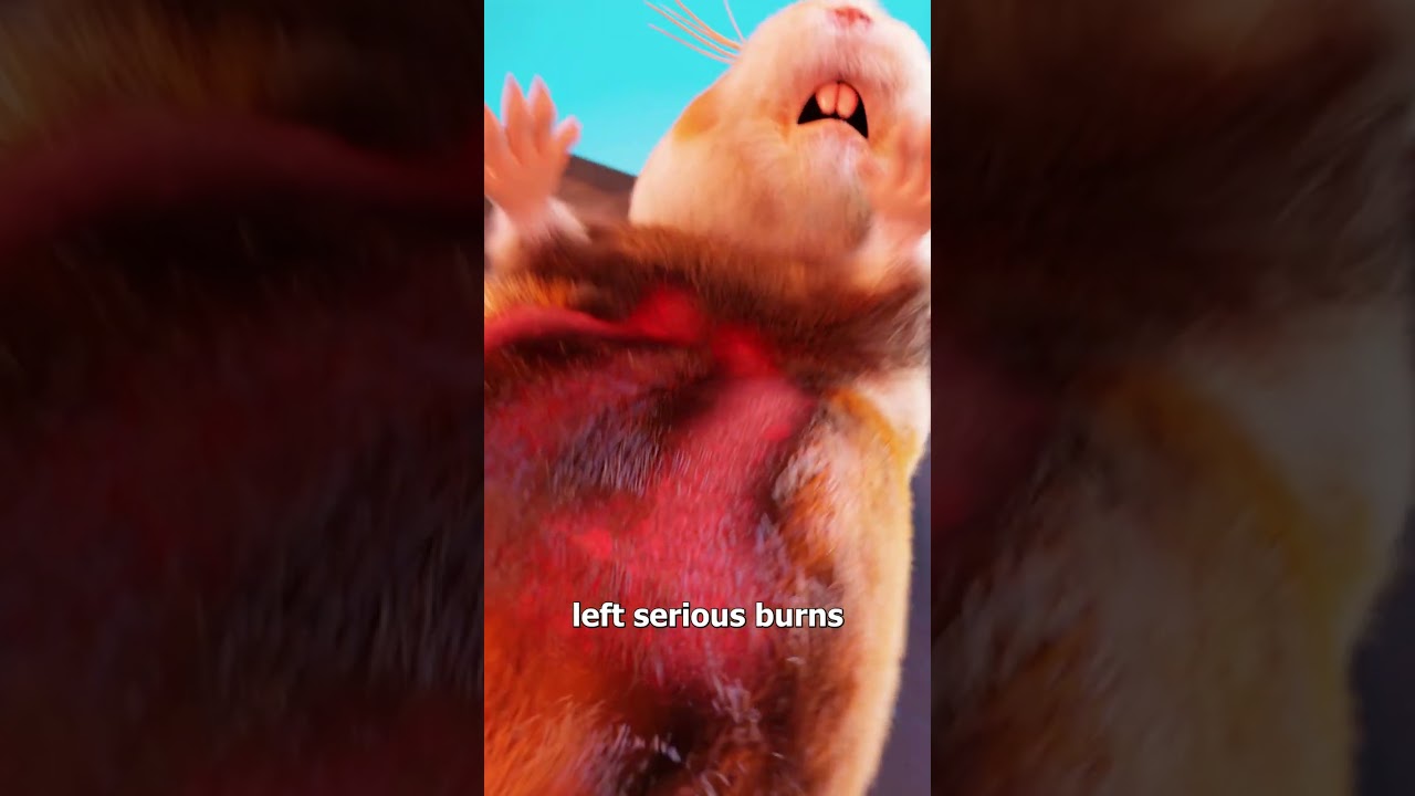 The Shocking Truth About Using Hamsters in Scientific Experiments 🐹