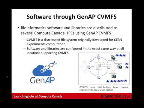 Using Compute Canada Resources for Data Analysis