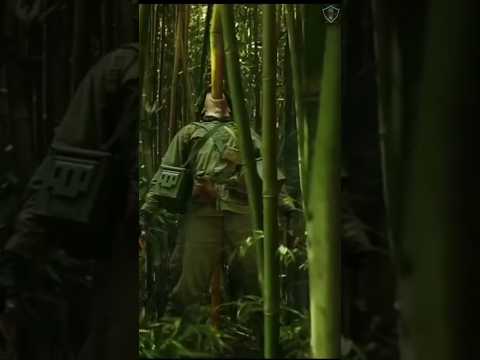 Top Movie Scene | Giant Spider Attack | Kong: Skull Island