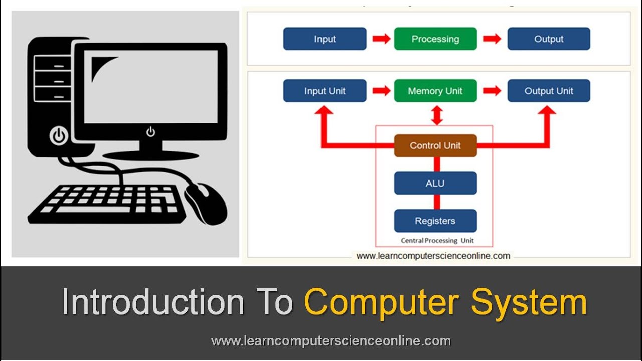 Computer System Basics for Beginners: Definitions, Components & Features 🖥️